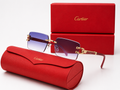 Cartier lunette de soleil - première CT0394S