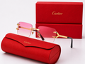 Cartier lunette de soleil - première CT0394S